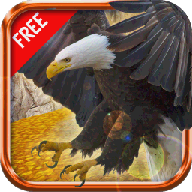 野鹰战斗幻想3D免费版